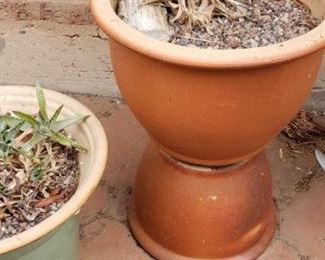 Variety of Plant Pots