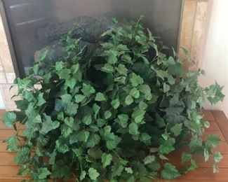 Large Decorative Plant