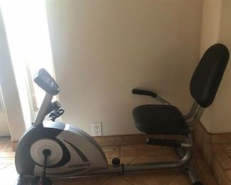 Stamina Recumbent Bike