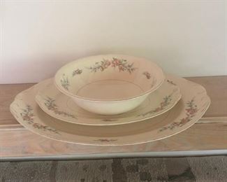Elegant Semi-Porcelain Chinaware