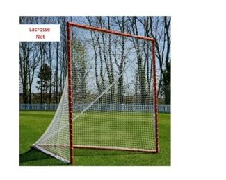 Lacrosse Net Picture