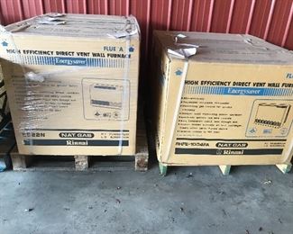 Rinnai heaters natural gas