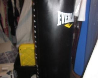 2 Everlast Punching Bags
