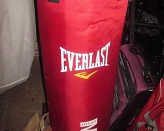 2 Everlast Punching Bags