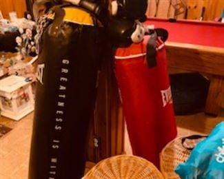 2 Everlast Punching Bags