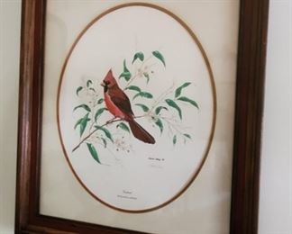 Signed Gene Gray Cardinal Print