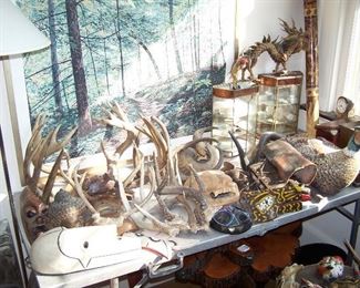 DEER ANTLERS & MISC.
