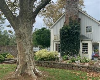 BEAUTIFUL BUCOLIC NJ HORSE COUNTRY PICTURES TO FOLLOW