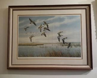 David Maas Ducks Unlimited print (25 out of 25)