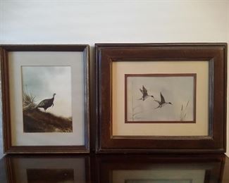 More by Armando Hinojosa