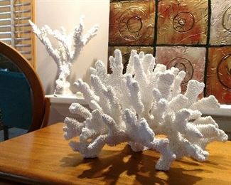 Huge coral pieces