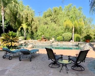 Dramatic Outdoor Garden includes Pool Furniture and Potted Plants