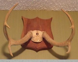 ANTLERS