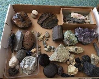 Fossils, gemstones, minerals, petrified wood. Many still available.