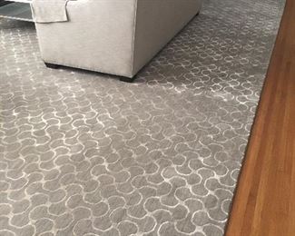Approximately 10x18 gray rug