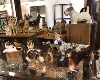 Serious collection of Copenhagen dogs...