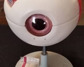 Altay Human Eye Model...