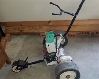 Electric Golf Cart