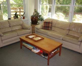 Sofa & Love Seat with Coffee Table and Plants