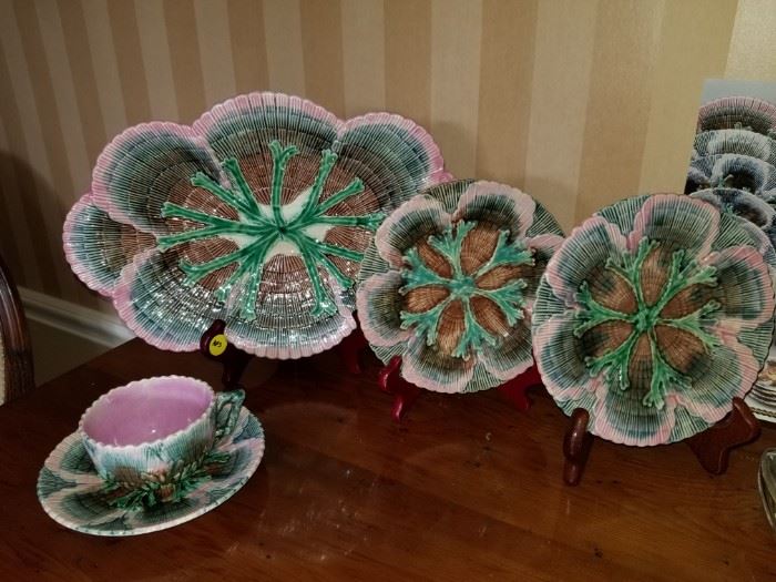 Etruscan  Majolica, Seeweed and Shells 