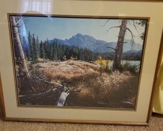 Larry Dyke framed Joshua print