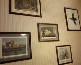 Michael Collins wildlife framed prints