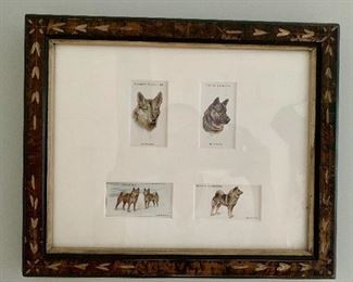 Vintage John Players and Sons Cigarette Trading Cards - delightfully framed! These 4 cards depict Elkhounds.