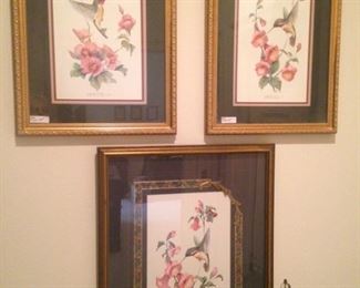 Additional framed hummingbird pictures
