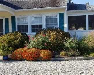 Sorry, owner is keeping Belgian blocks but there are plenty more hardscape items, plants & shrubs available