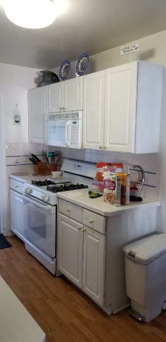 Cute, clean & contemporary kitchen; GE gas range 