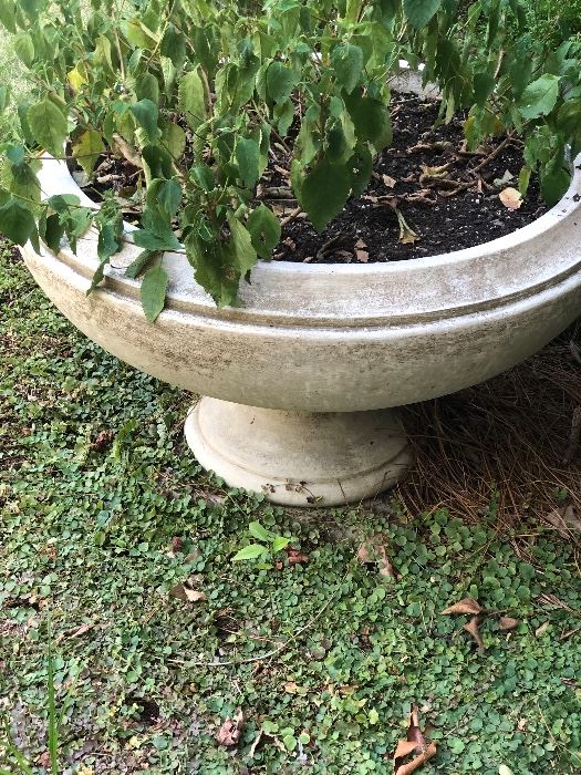 Outdoor concrete planters