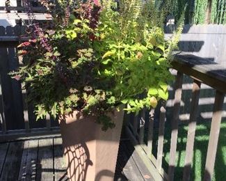 Very Nice Outdoor Planters - 🌿 included