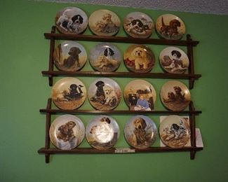 collector dog plates