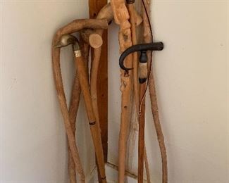 Unusual, exotic, unique walking sticks