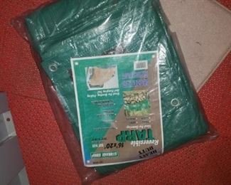 Tarp-NIB