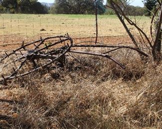 Antique Farm equipment
