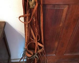 Horse Halter-bit