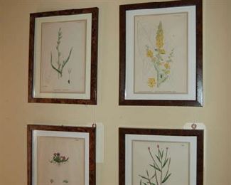 Beautifully framed botanicals