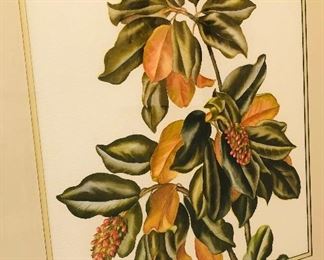 Group of Original Watercolors by Georgia Artist, Lila Moore Keen (1903-1963). Her original watercolors are very hard to find.