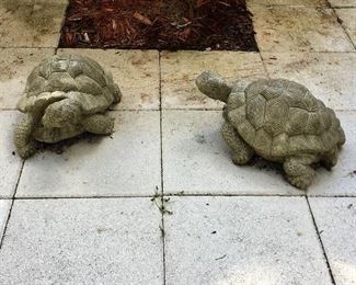 Concrete Turtles