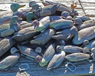 (27) Duck Decoys most with Tie Anchor Floats