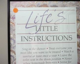 Life's Little Instructions print