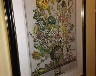 Botanical framed and matted print