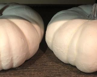 Decorative White Pumpkins