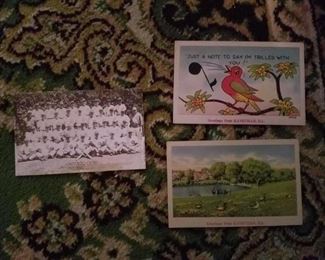 the 1947 cubs card and Kaneville postcards. Lots of postcards including real photos
