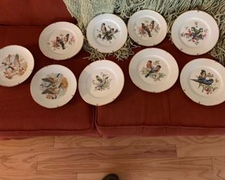 Assortment of Bird Plates