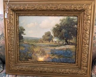 bluebonnets beautifully framed