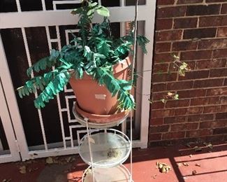Planter and 3 tier shelf
