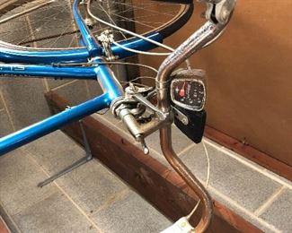 Vintage Schwinn Suburban bike