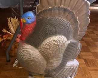 Turkey blow mold